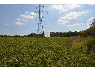 Property photo 1 - LAND AUCTION - 99+/- Acres offered in 4 Tracts or Combinations in Allen County